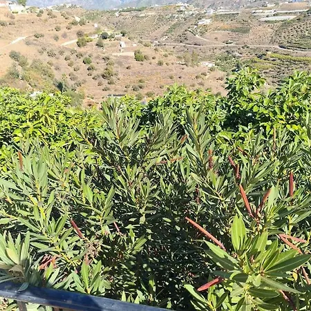 Villa Fantastisk 10+5baedds I Torrox/nerja -spanien Torrox
